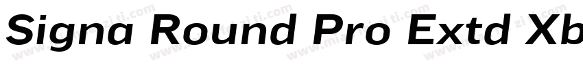 Signa Round Pro Extd Xblack Italic字体转换